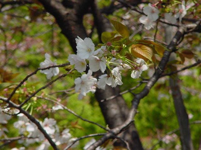 治療指針：生活提言：治療経過