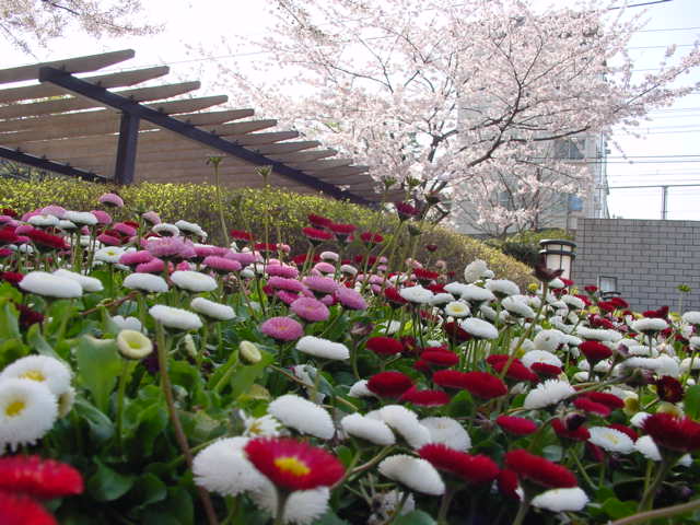 治療指針：生活提言