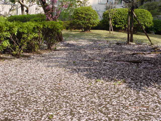 治療指針：生活提言