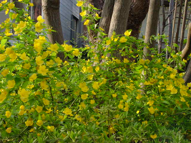 治療指針:生活提言