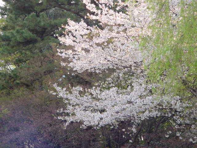 治療指針：生活提言：治療経過