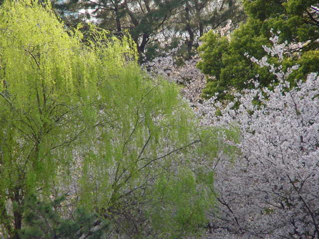 治療指針：生活提言：治療経過