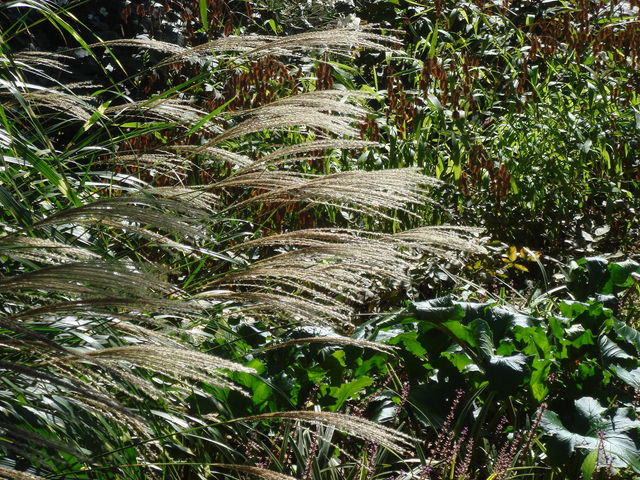 病因病理:弁証論治:治療指針