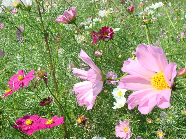 身体作りをして出産弁証論治