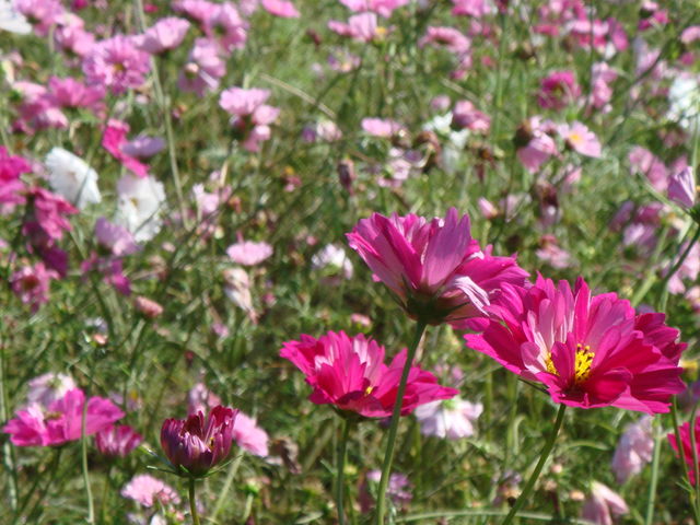 治療指針：生活提言：治療経過