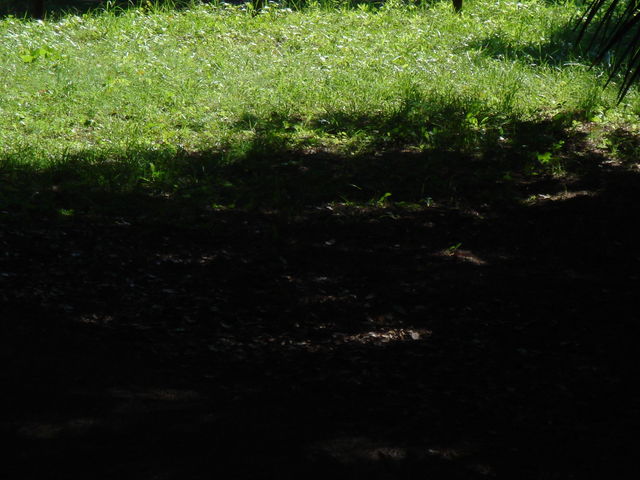 流産・不育43歳出産弁証論治