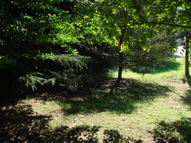 治療指針：生活提言：治療経過