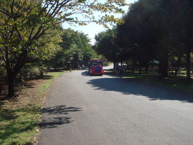 病因病理：弁証論治