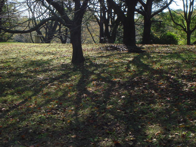 冷え性痩せ不育→出産弁証論治