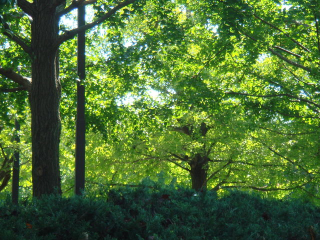 治療指針：生活提言：治療経過