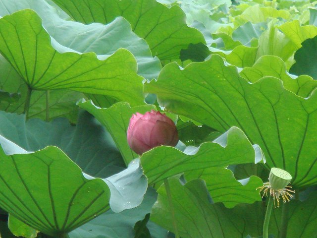 治療指針：生活提言