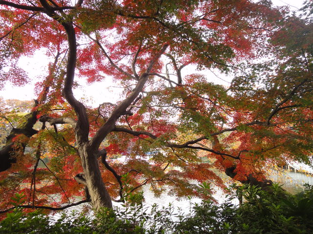 治療指針：生活提言：治療経過