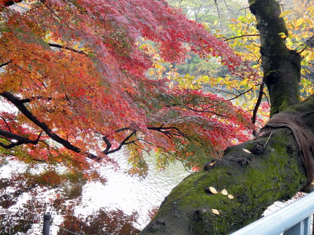 反復流産 冷え性、頭痛弁証論治