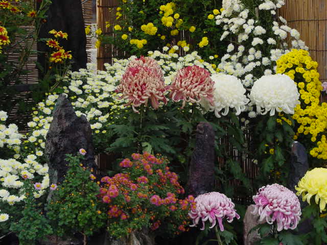 病因病理：弁証論治