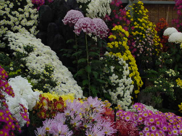 激しい頭痛の弁証論治