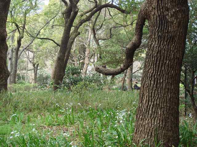 病因病理：弁証論治
