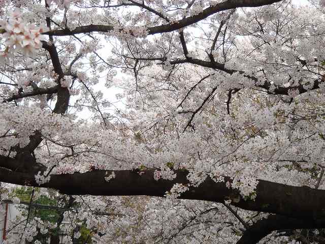 治療指針：生活提言：治療経過