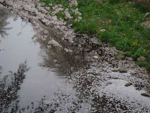 二人目不妊、早産が心配弁証論治