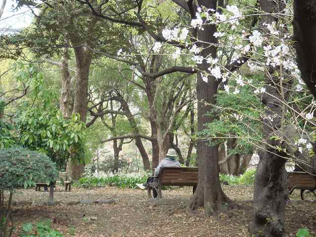 治療指針：生活提言