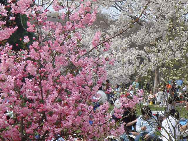 治療指針：生活提言：治療経過