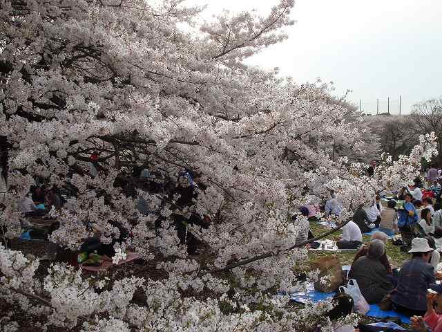 病因病理：弁証論治