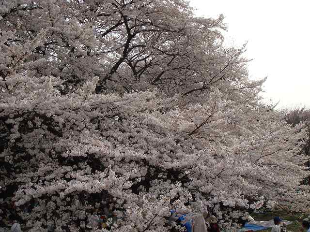治療指針：生活提言：治療経過