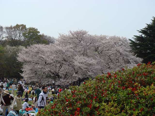 年齢要因で妊娠出来なかった弁証論治
