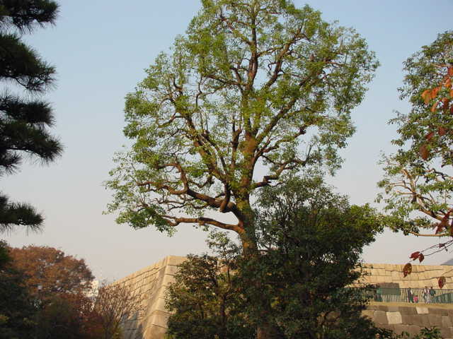 治療指針：生活提言