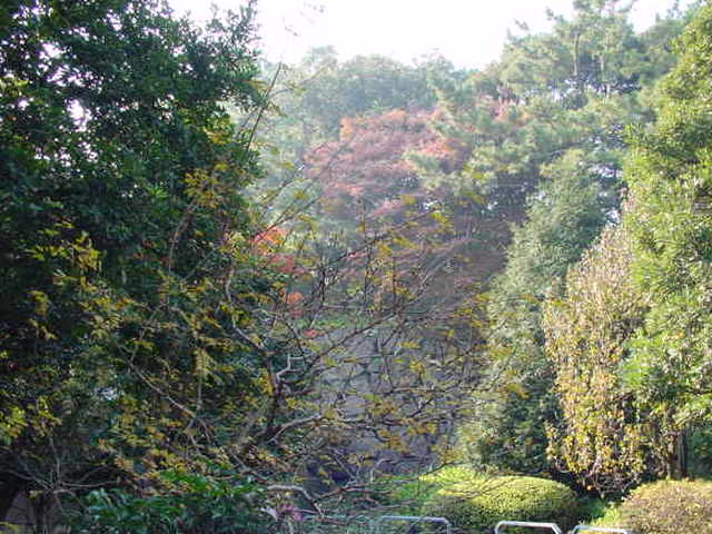 気力を充実させ元気に生きたい、不妊　弁証論治