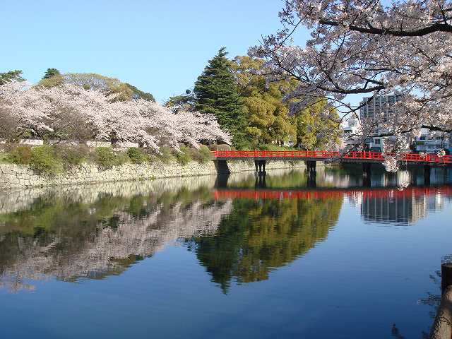 不妊アトピーの弁証論治