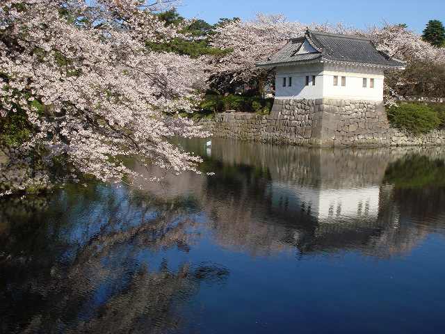 治療指針：生活提言：治療経過