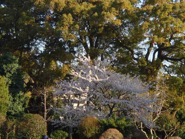 治療指針：生活提言