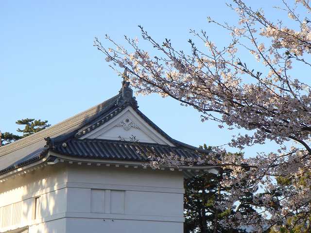 病因病理：弁証論治