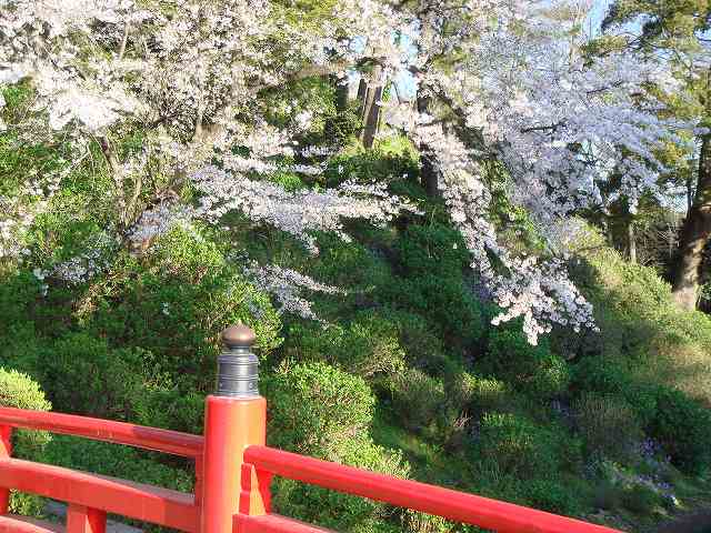 治療指針：生活提言：治療経過