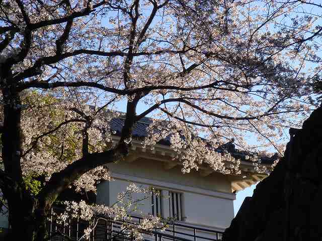 妊娠中の養生の弁証論治