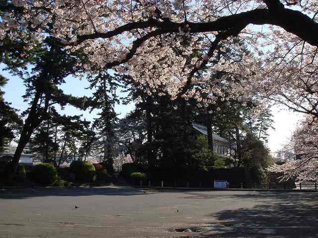 治療指針：治療経過