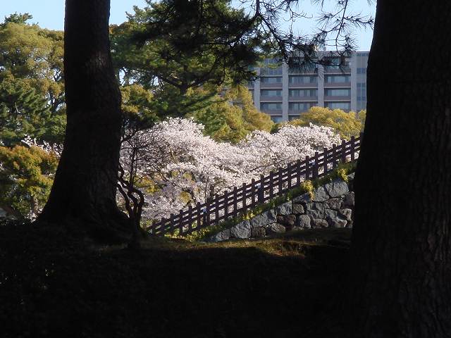 二人目不妊、首肩の凝り、出産弁証論治