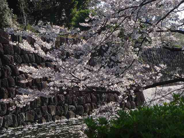 治療指針：生活提言：処置