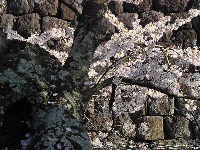 月経不順、冷え性、出産弁証論治