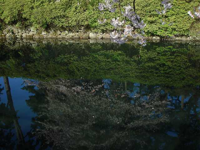 チョコレート膿疱→妊娠の弁証論治