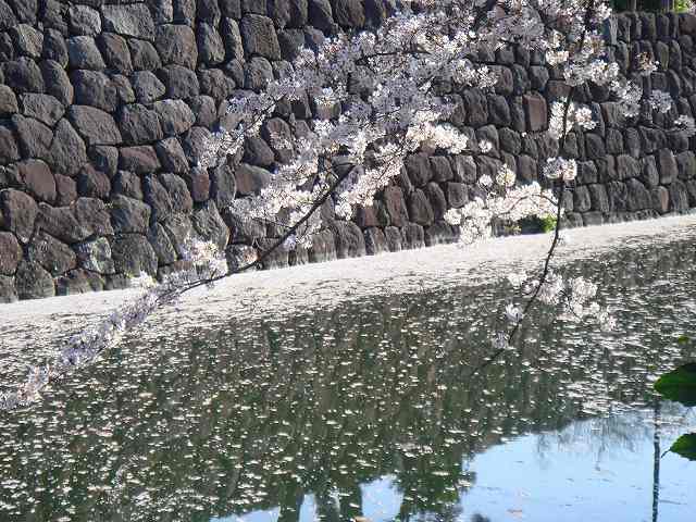 病因病理：弁証論治