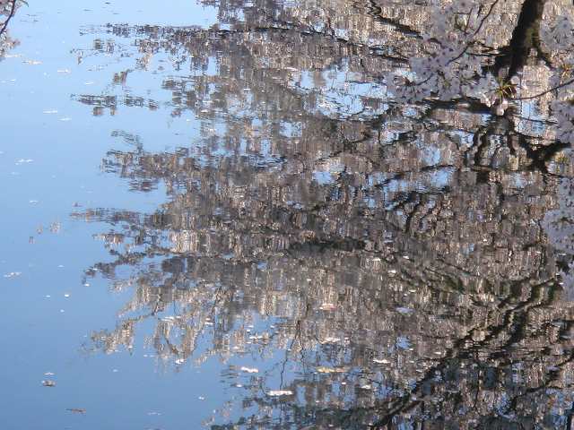 卵巣嚢腫、甲状腺機能低下、長い不妊治療歴の弁証論治