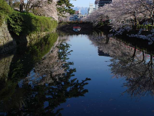 病因病理：弁証論治