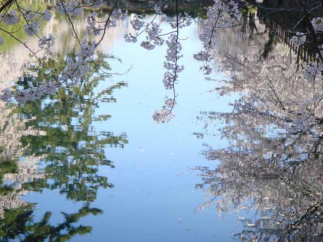 不妊、流産後の長い不調→出産弁証論治