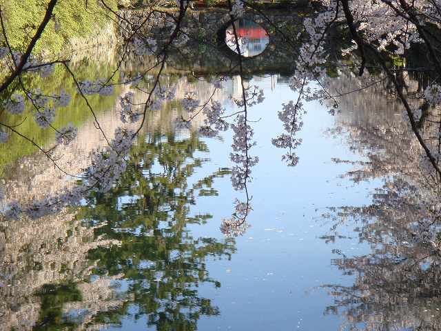 治療指針：生活提言：経過