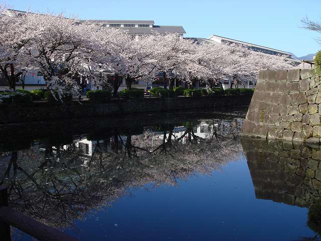 妊娠中も悪化した子宮内膜症による痛みの弁証論治