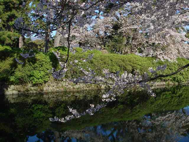 治療指針：治療経過