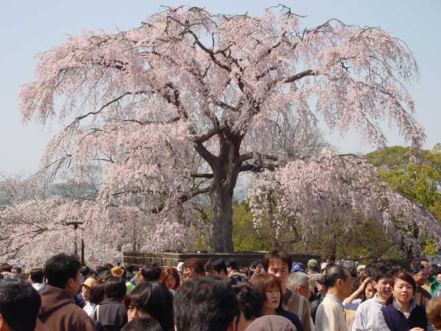 治療指針：生活提言