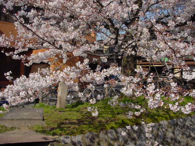 治療指針：生活提言