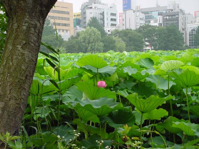 治療指針：生活提言：治療経過